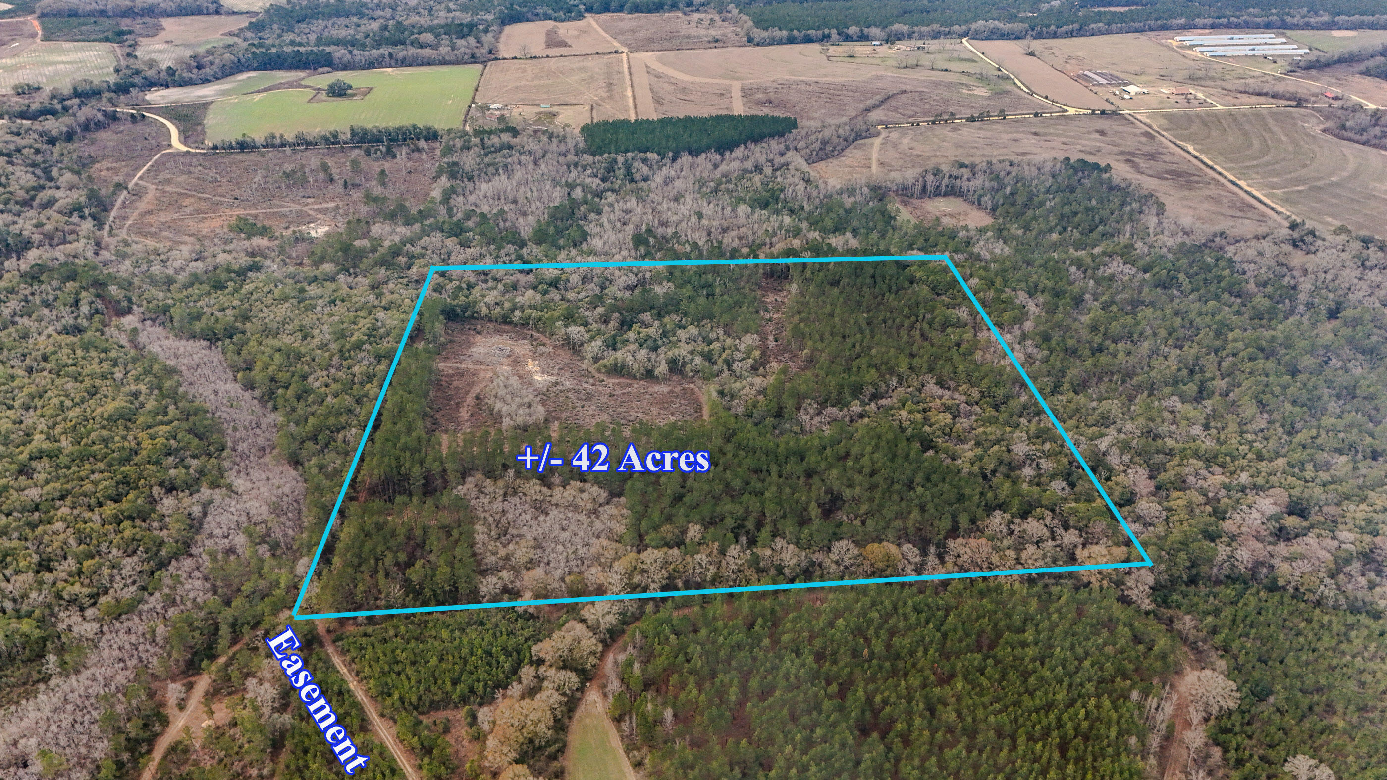 4769 Davis Road Florala, AL 36442 - Photo 27 of 39 a view of outdoor space