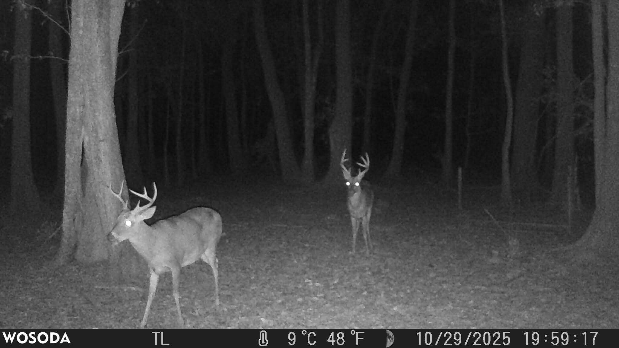 4769 Davis Road Florala, AL 36442 - Photo 38 of 39 a room with a table and chair