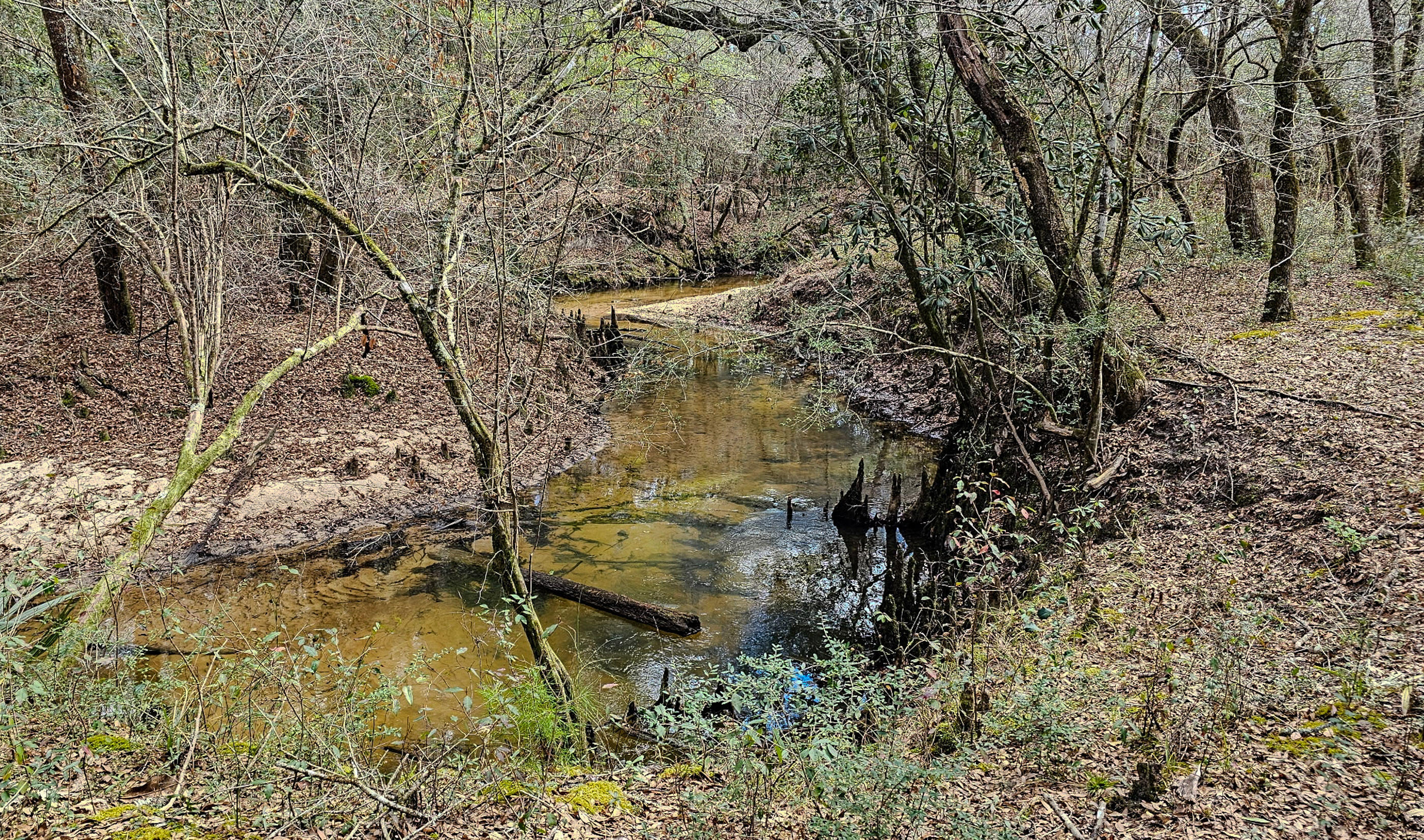 4769 Davis Road Florala, AL 36442 - Photo 4 of 39 a view of lake view