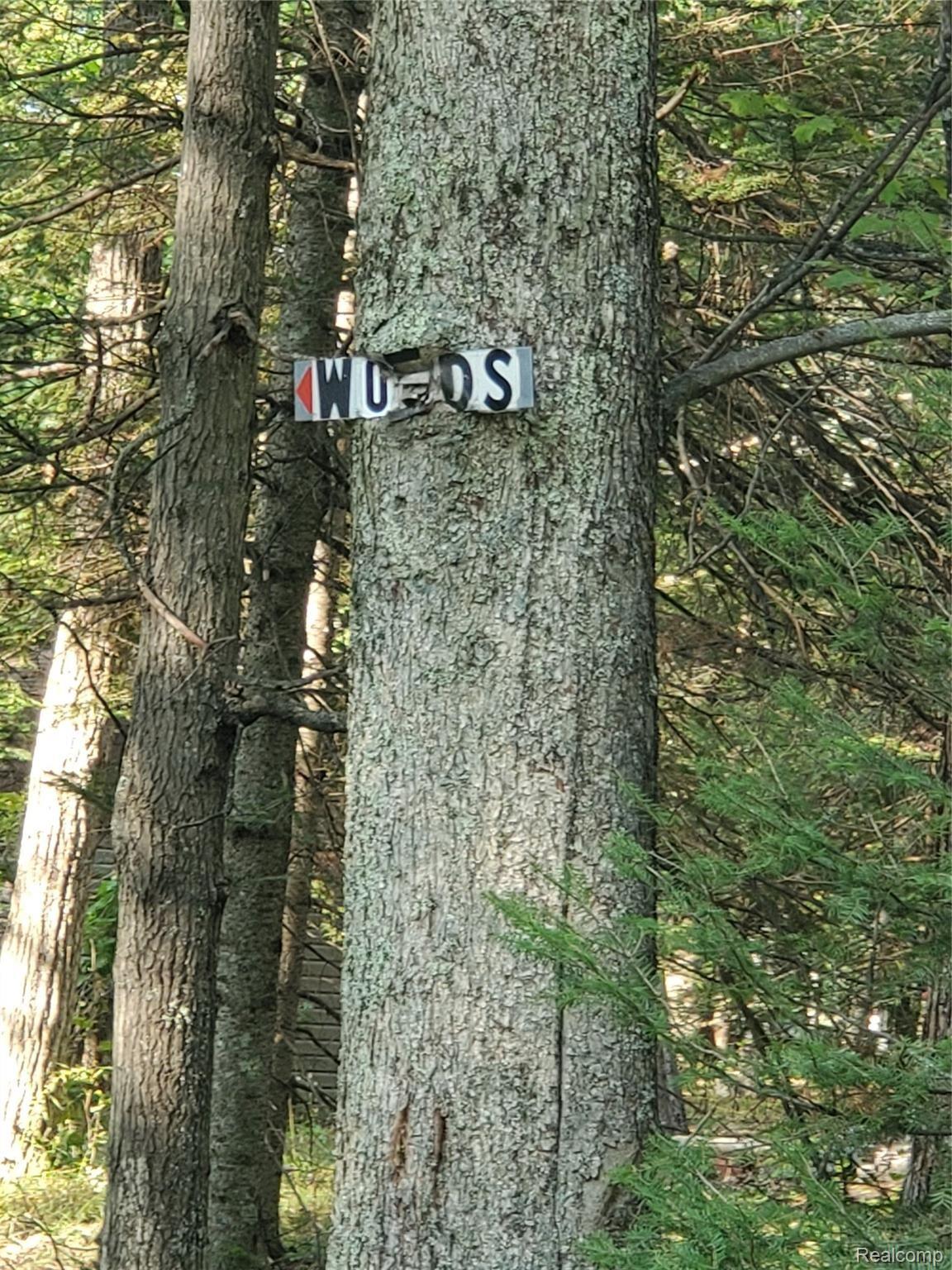 0 South Muskegon Banks Road Marion, MI 49665 - Photo 24 of 24 sign1.jpg