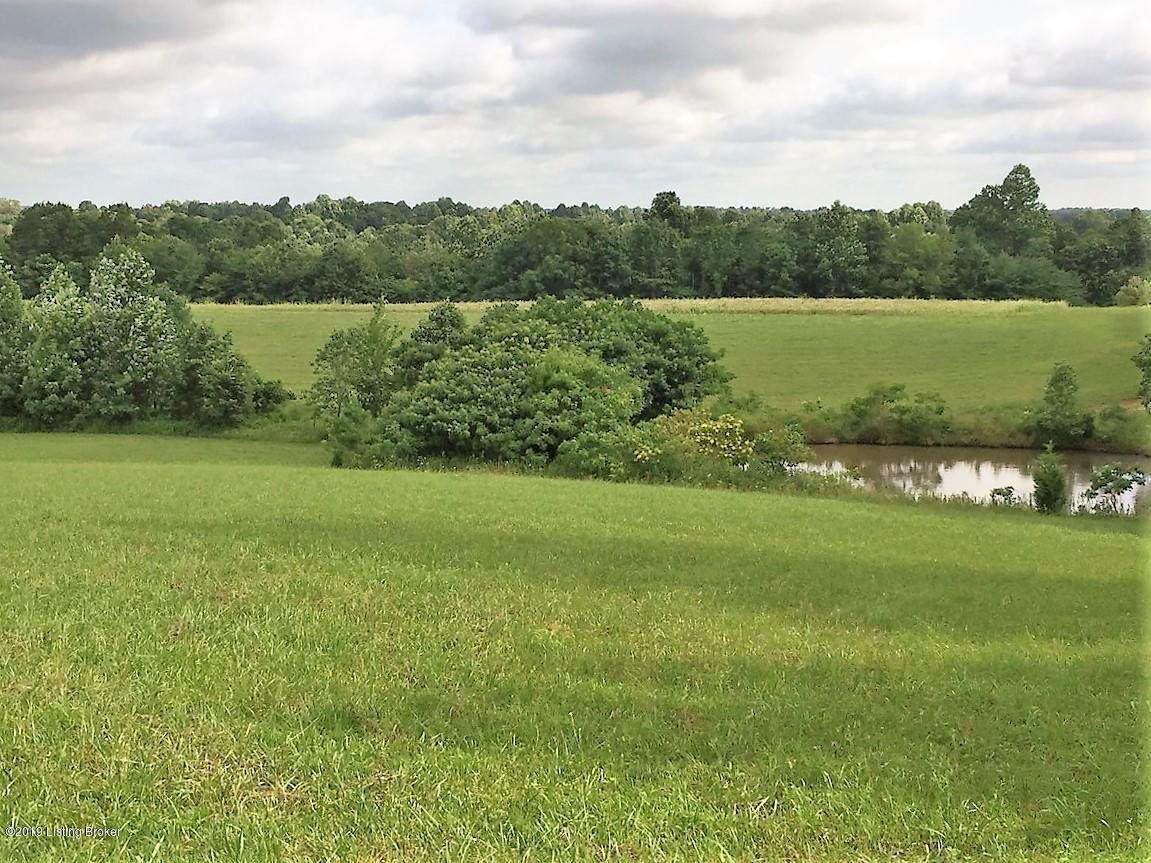 386 Salem Church Road Bee Spring, KY 42207 - Photo 43 of 64 Field 15