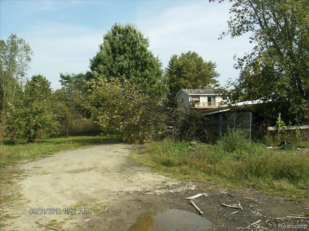 back yard 3
