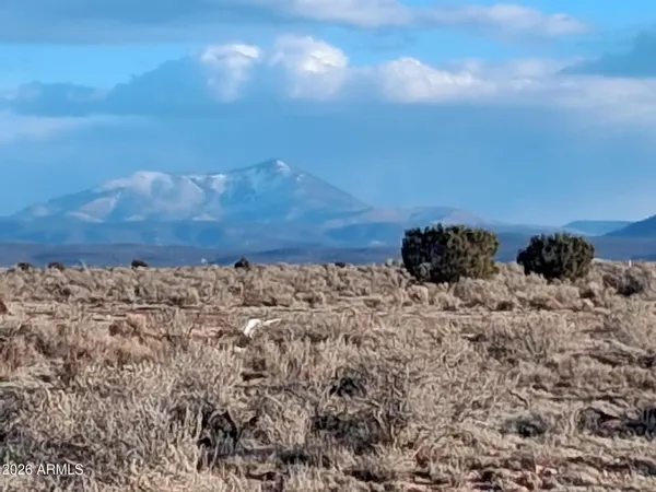 $7,947 | 1801 East Canby Drive, Williams, AZ 86046