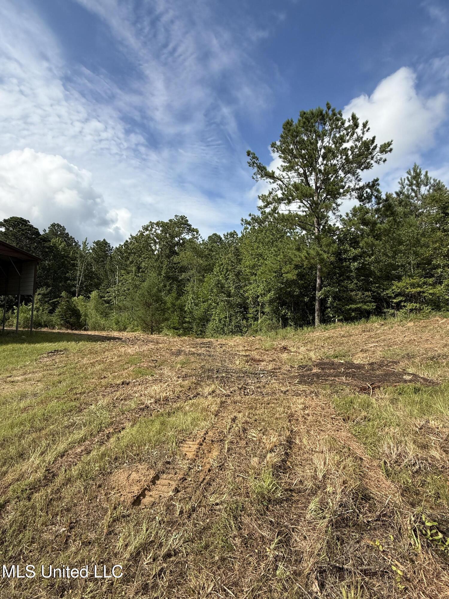 Macedonia Road Crosby, MS 39633 - Photo 2 of 6 IMG_1311