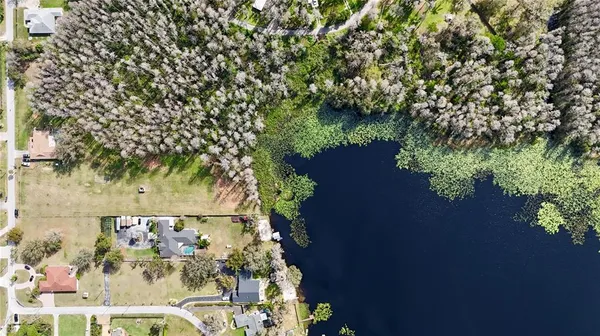 $600,000 | Auralee Acres Blount Road, Lutz, FL 33558