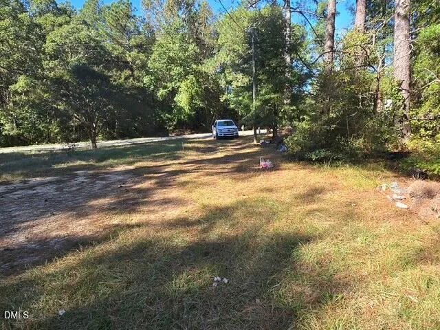 a view of yard with trees