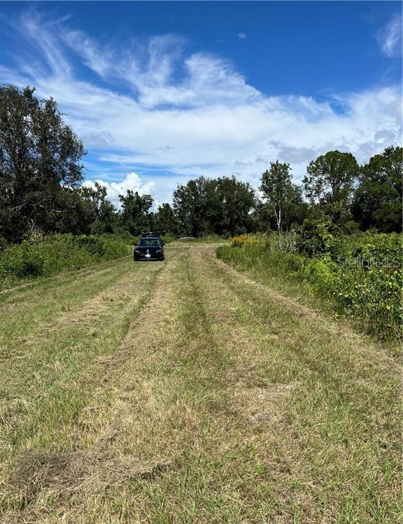 1130 South Gabriel Road Avon Park, FL 33825 - Photo 2 of 4 a view of a field with an trees in the background
