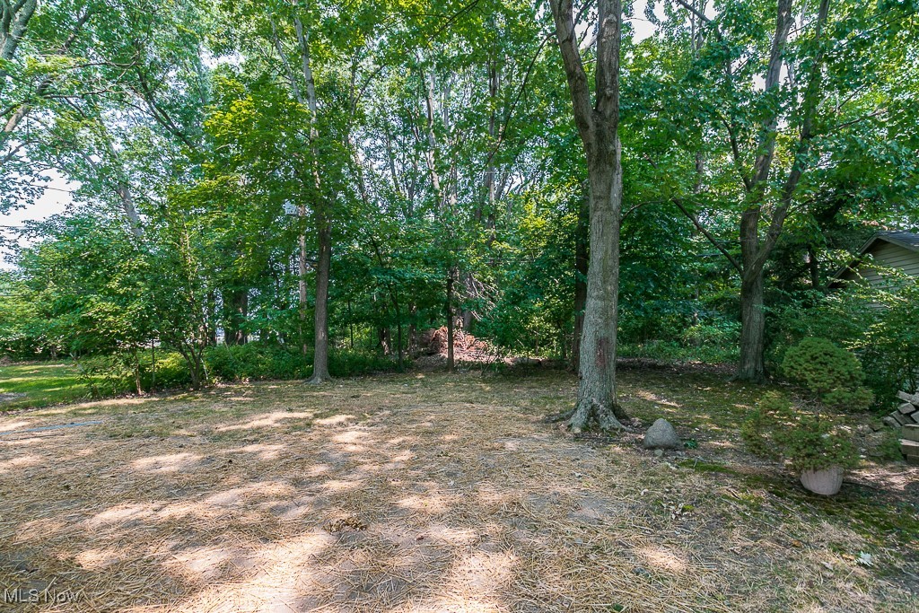 32609 Knobel Road Willowick, OH 44095 - Photo 28 of 29 Tree lined park like backyard