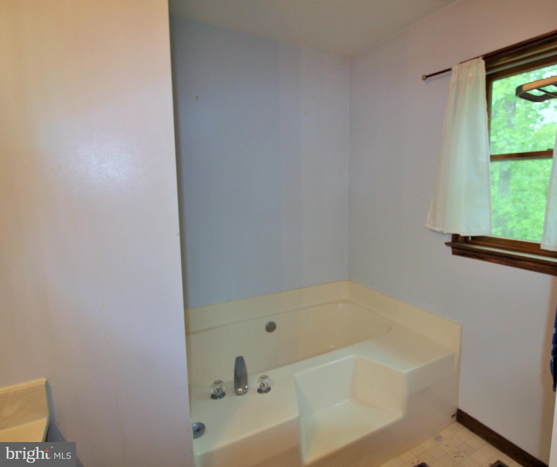 4447 River Road Bluemont, VA 20135 - Photo 19 of 29 Soaking Tub Primary Bath (separate shower)