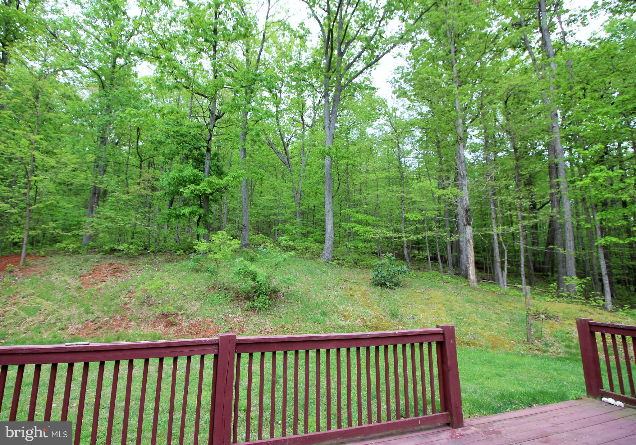 4447 River Road Bluemont, VA 20135 - Photo 28 of 29 View from deck
