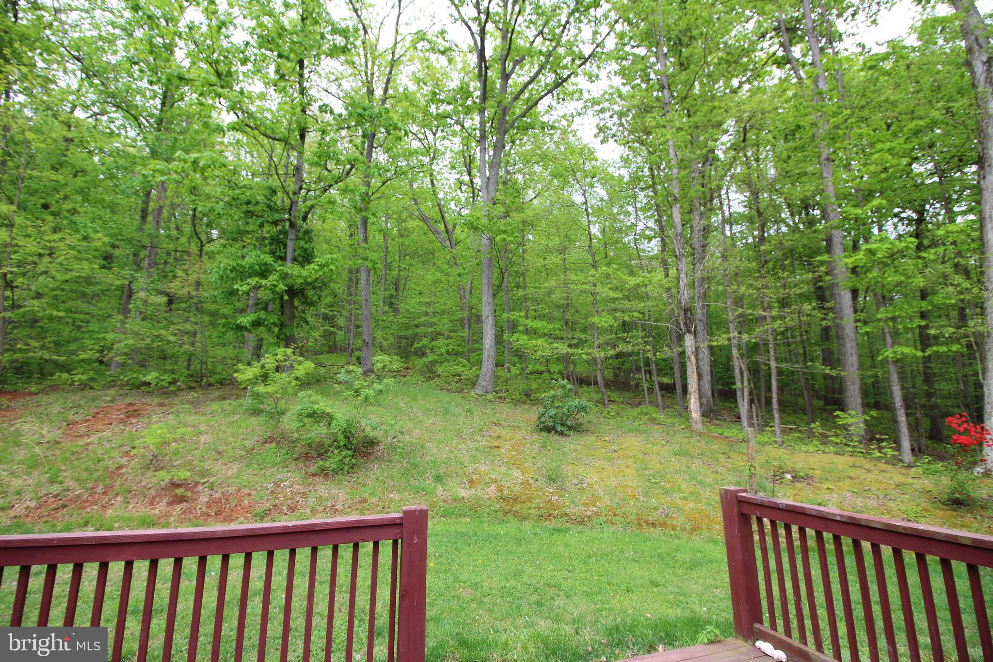 4447 River Road Bluemont, VA 20135 - Photo 29 of 29 View from deck