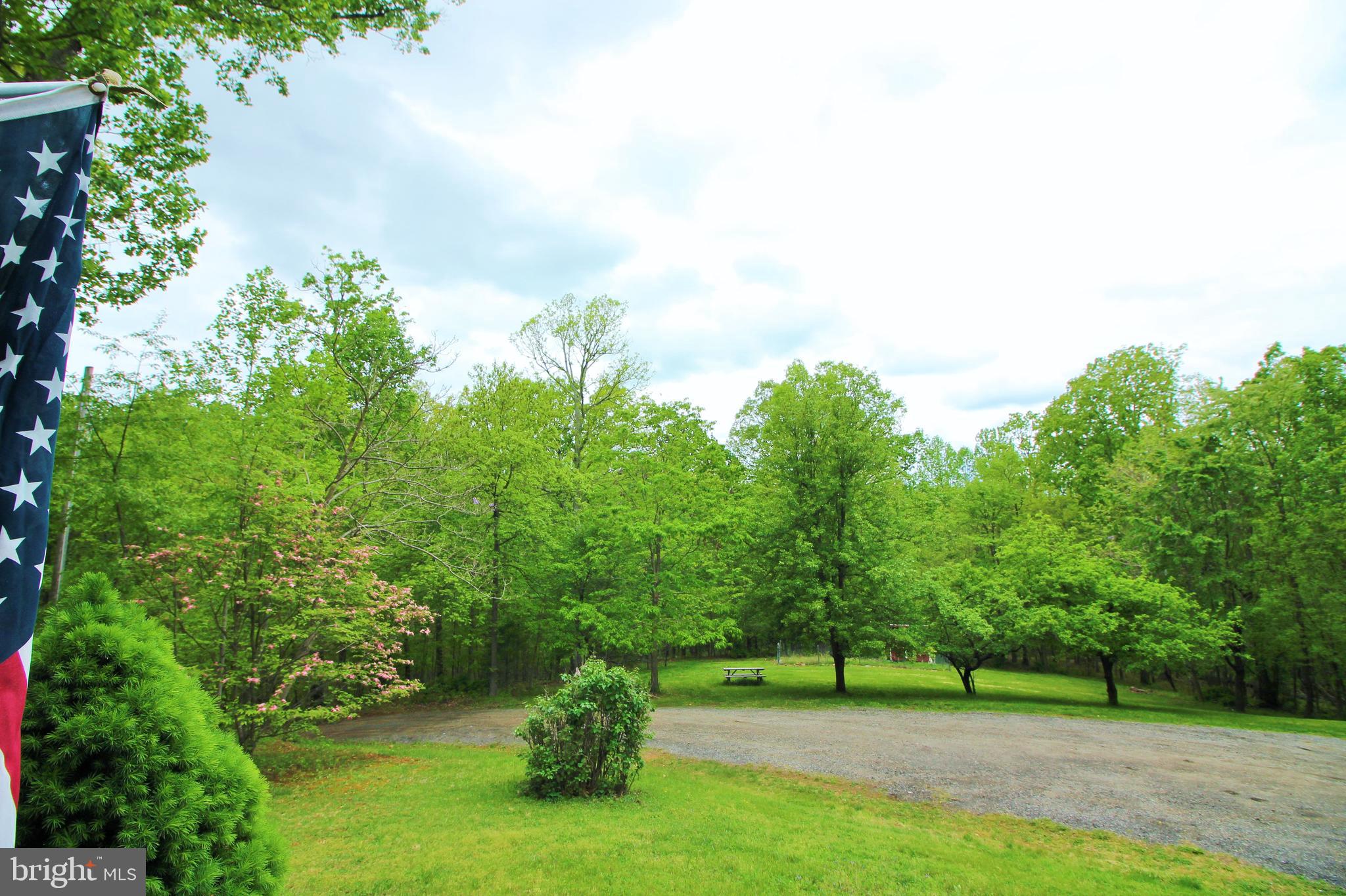 4447 River Road Bluemont, VA 20135 - Photo 3 of 29 View from Front Porch