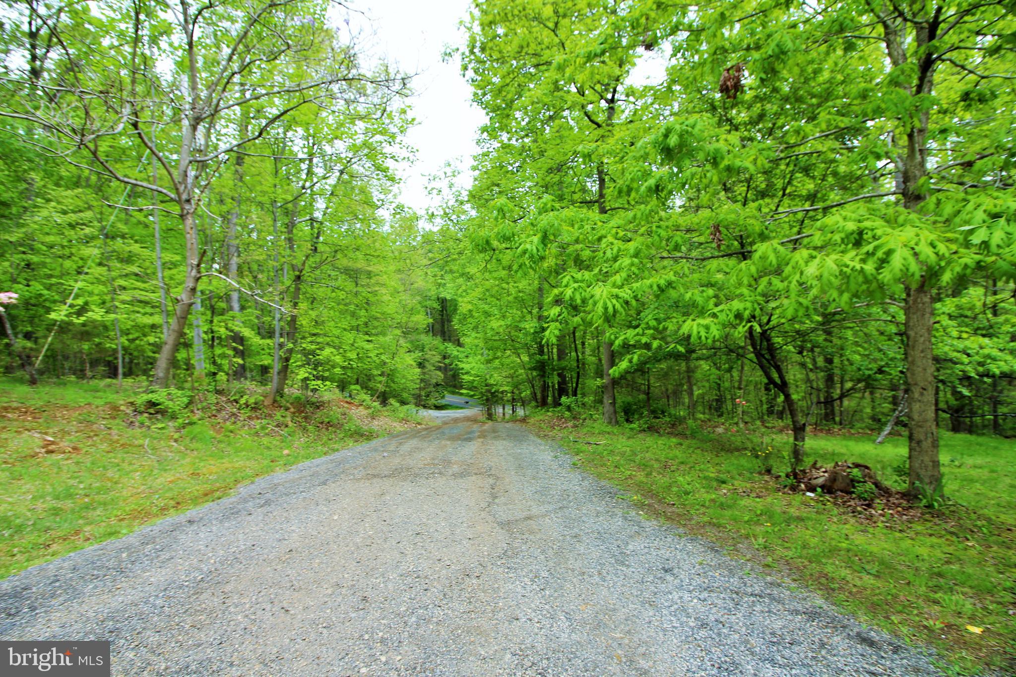 4447 River Road Bluemont, VA 20135 - Photo 4 of 29 Driveway (From top to road)