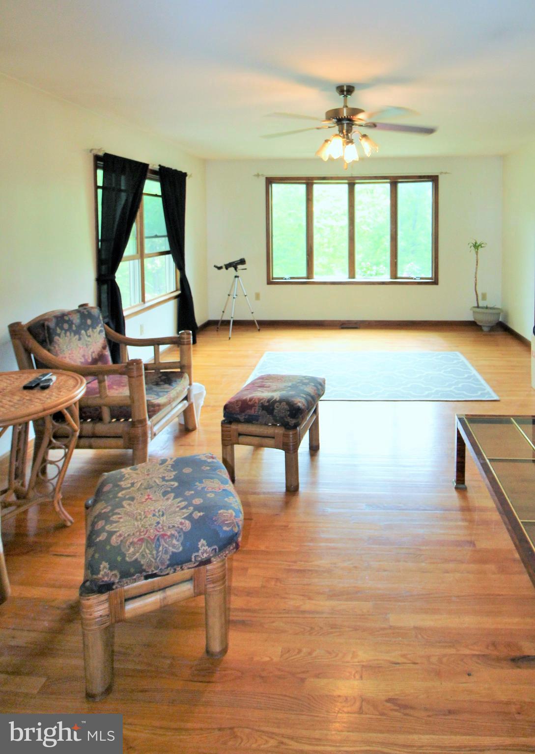 4447 River Road Bluemont, VA 20135 - Photo 7 of 29 Living Room