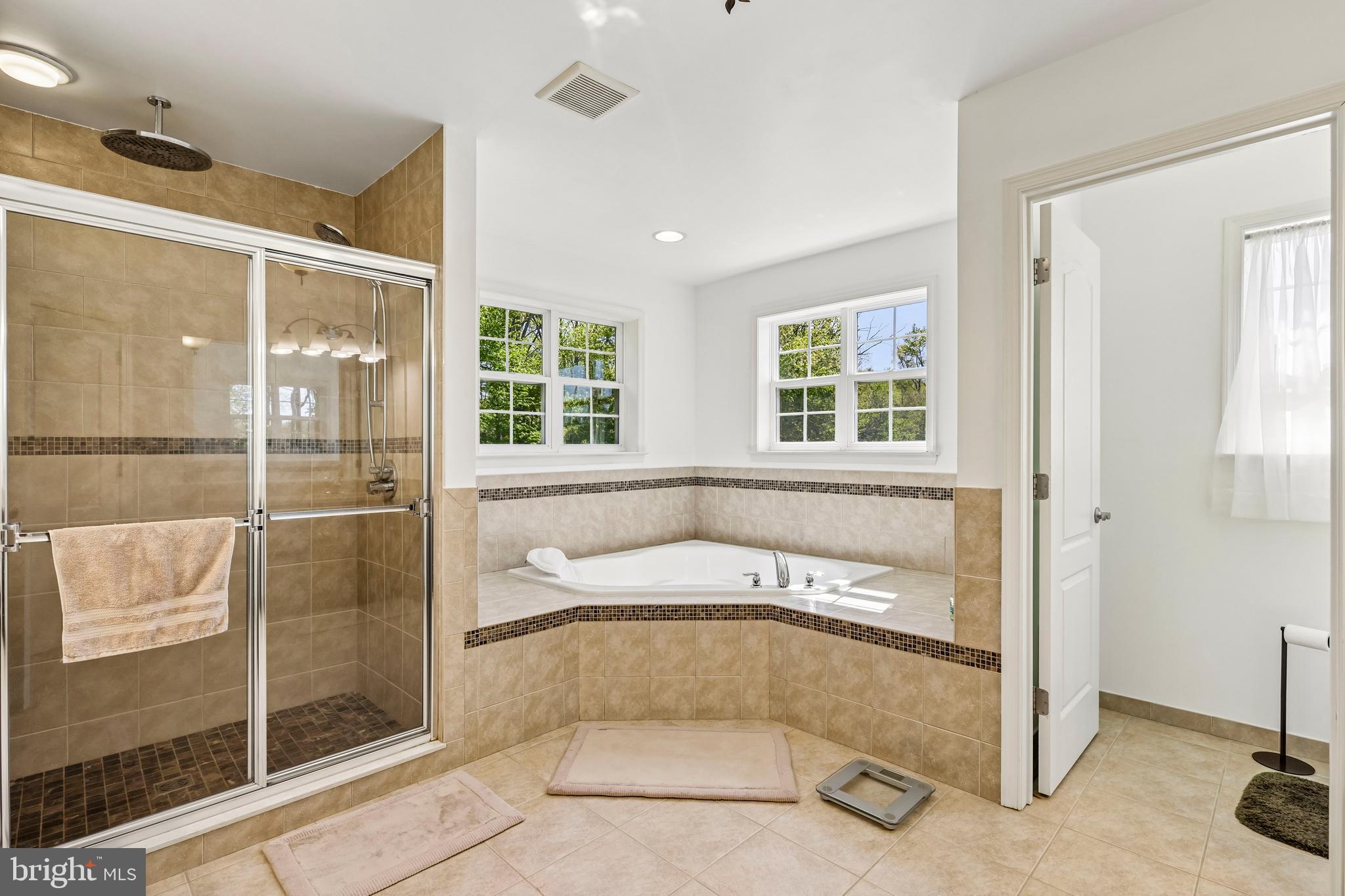 41 Emerald Road Robbinsville, NJ 08691 - Photo 34 of 69 Primary bath with jetted tub