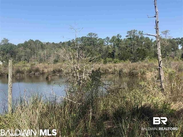 0 County Road 20 Elberta, AL 36530 - Photo 6 of 17
