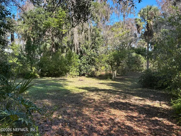 a view of a yard with a tree