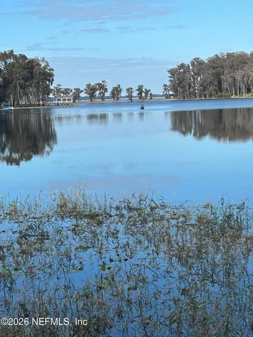 a view of a lake in middle of forest