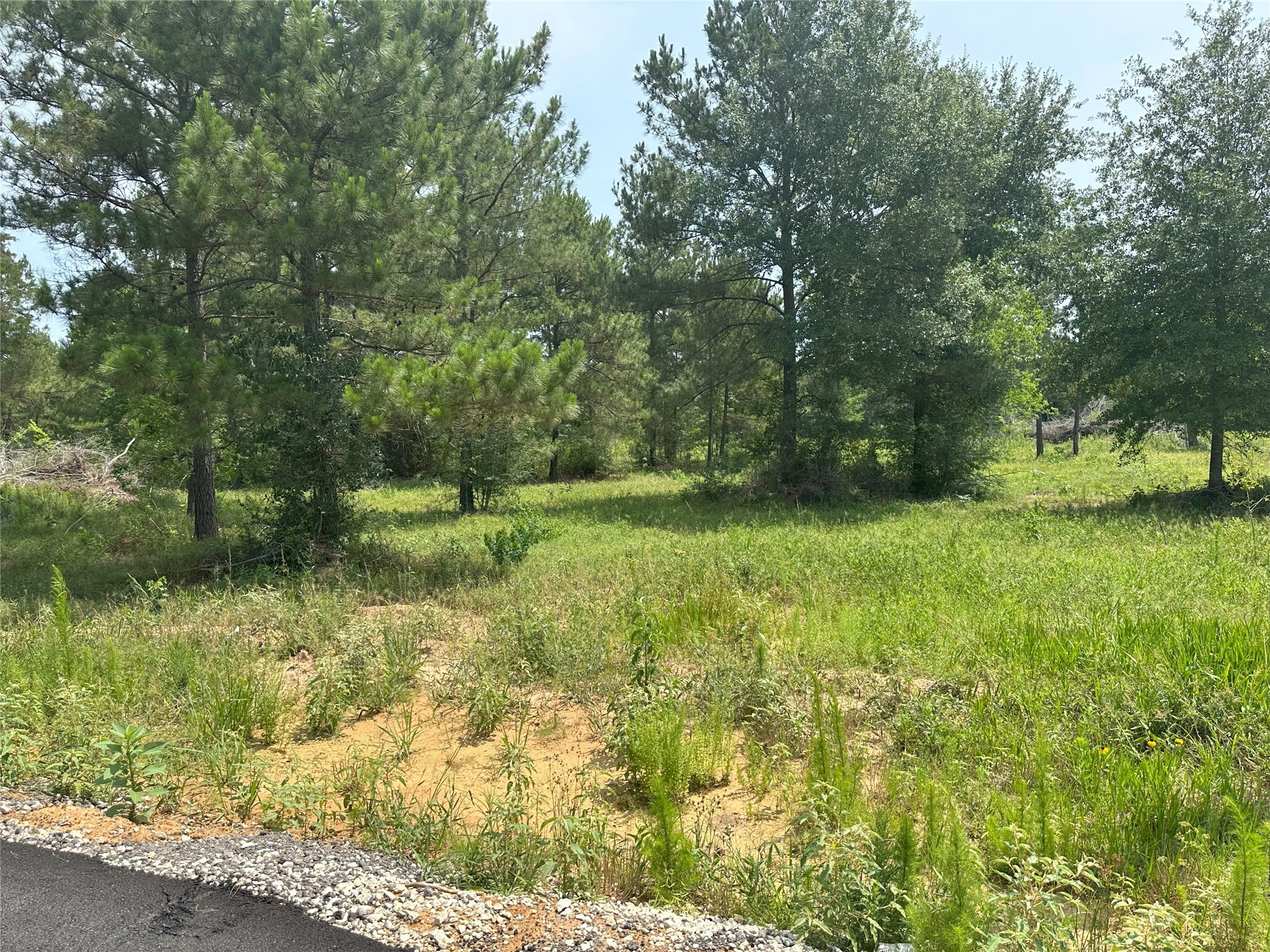 0 Crockett Road Waller, TX 77484 - Photo 14 of 19 a view of outdoor space and yard