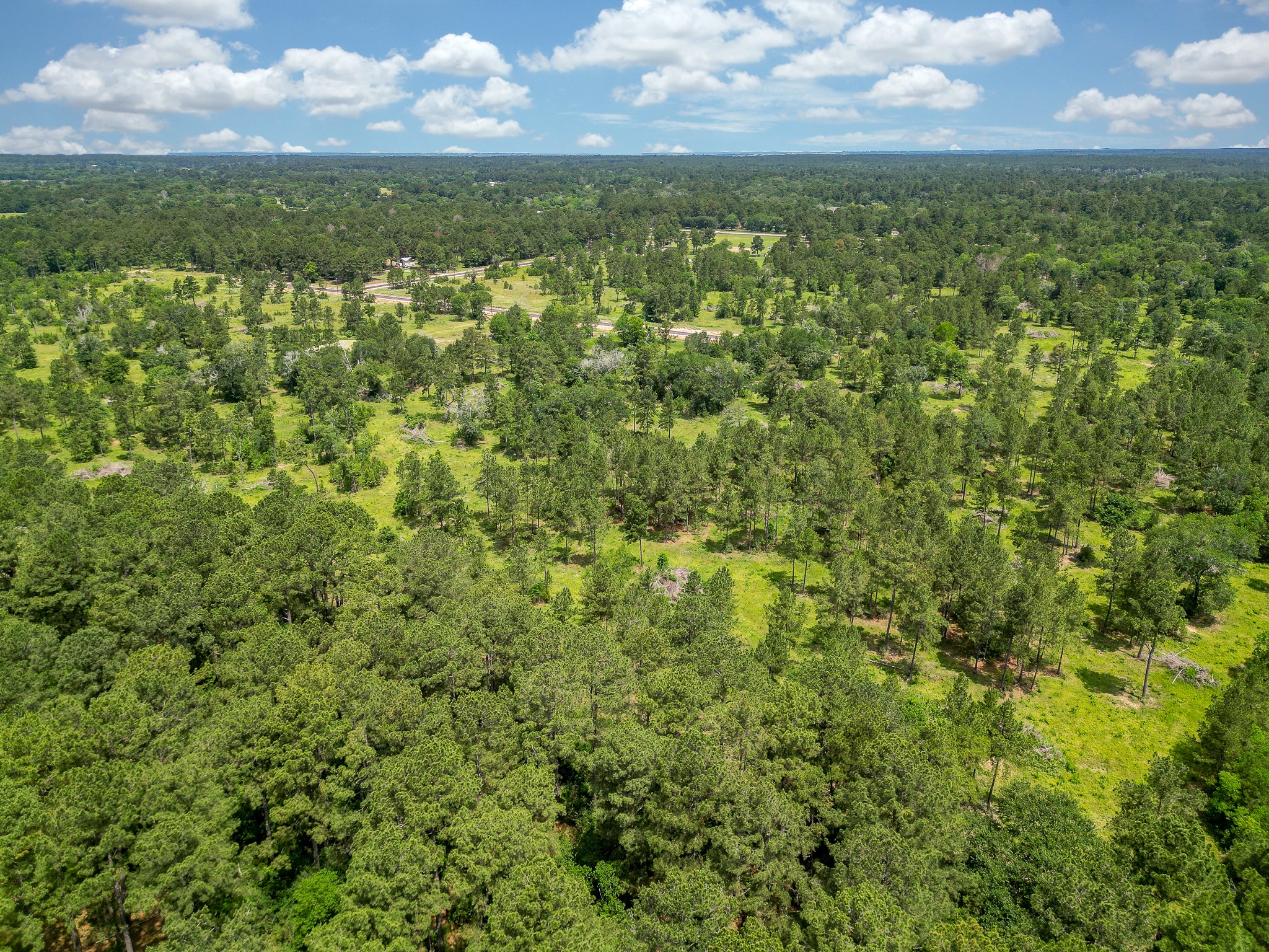 0 Crockett Road Waller, TX 77484 - Photo 19 of 19 a view of a green field