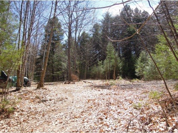 0 Collins Gilbert Road South Newfane, VT 05351 - Photo 1 of 1