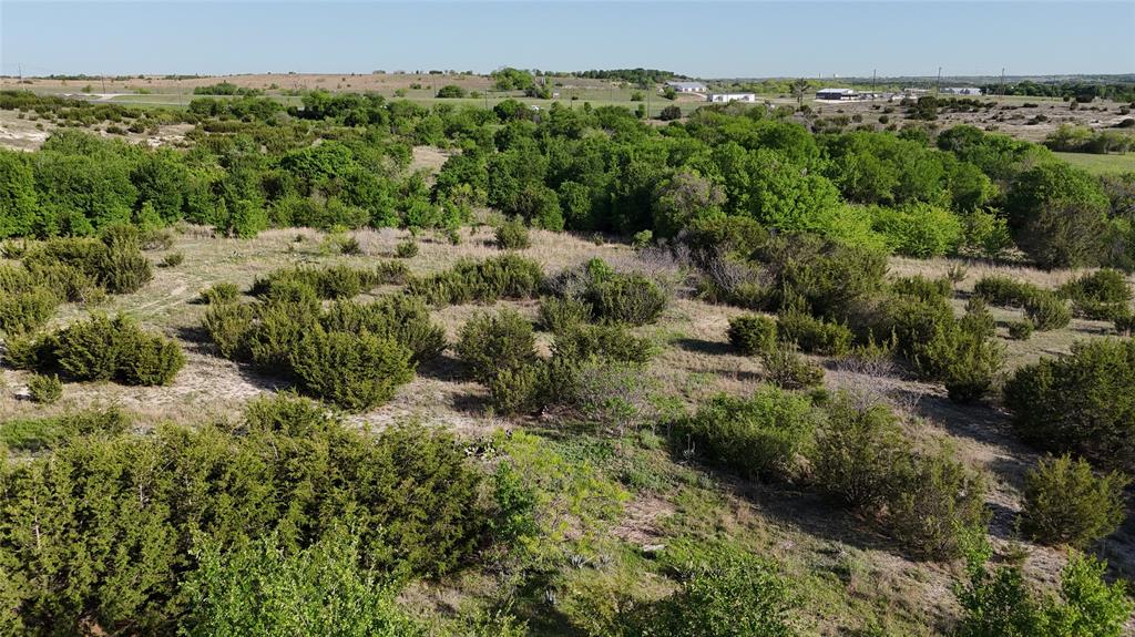 3001 Rio Grande Circle Cresson, TX 76035 - Photo 7 of 13 a view of a green field with lots of bushes