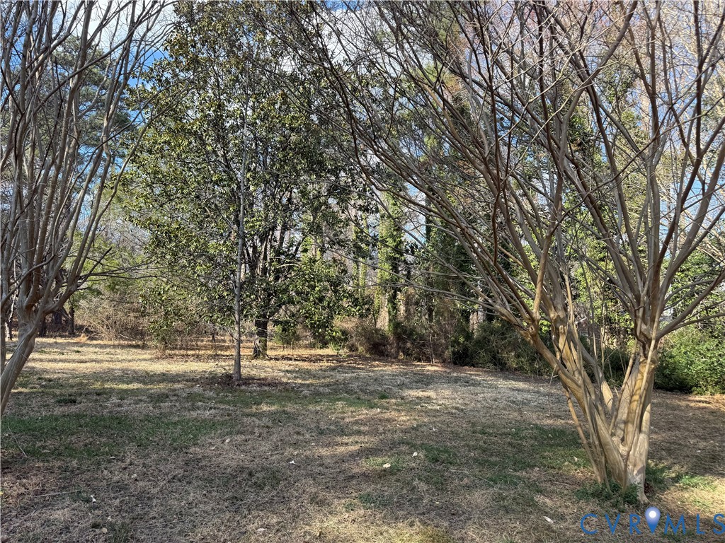 Tbd Spring Road Hopewell, VA 23860 - Photo 4 of 5