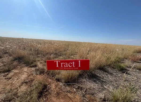 $74,500 | 11265 Strawberry Lane, Dalhart, TX 79022