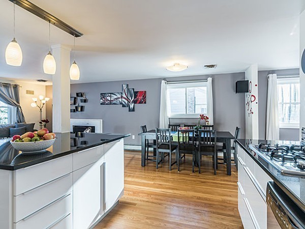 254 Spiers Road Newton, MA 02459 - Photo 4 of 8 Gallery Image 4