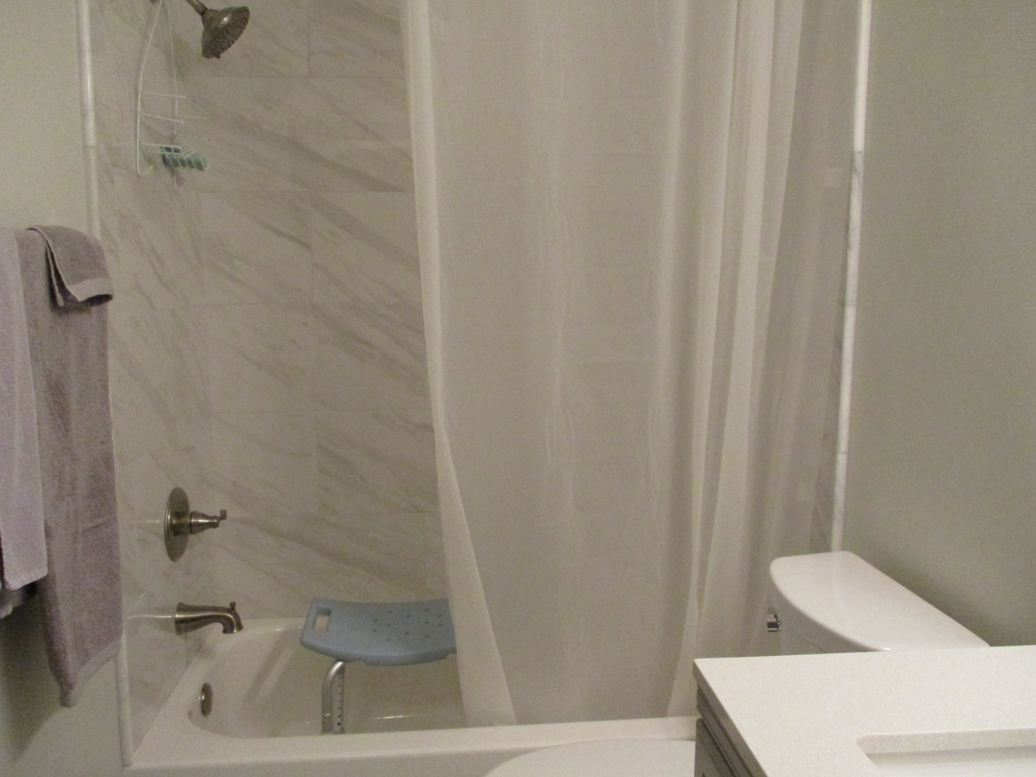 6206 Hickory Ridge Road Lebanon, TN 37090 - Photo 24 of 28 a bathroom with a shower and a toilet