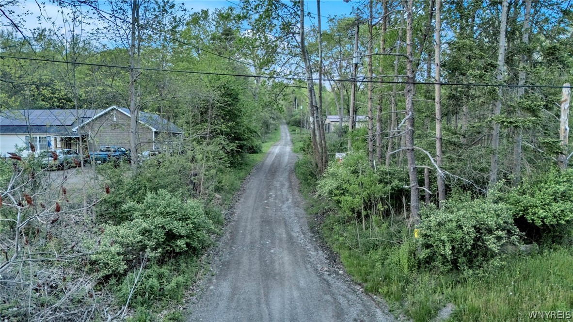 10448 Creek Road Sardinia, NY 14141 - Photo 6 of 7