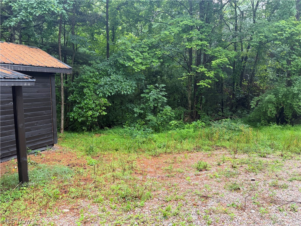 19440 Township Road Warsaw, OH 43844 - Photo 3 of 6