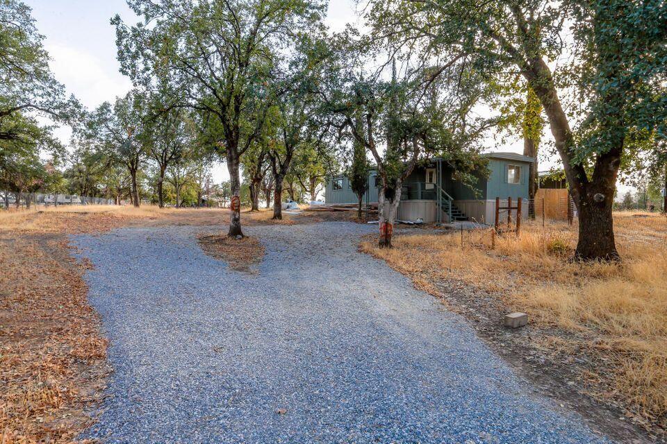 16947 Spring Creek Road Redding, CA 96003 - Photo 13 of 22 a view of outdoor space with trees