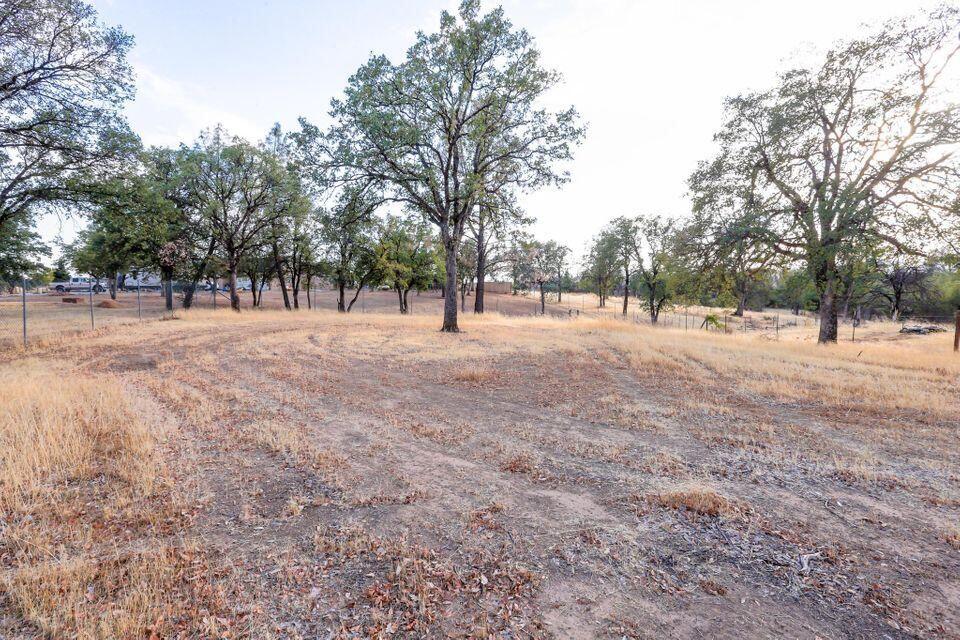 16947 Spring Creek Road Redding, CA 96003 - Photo 21 of 22 a view of open space with trees