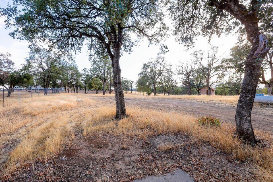 16947 Spring Creek Road Redding, CA 96003 - Photo 22 of 22 a view of empty space with large trees