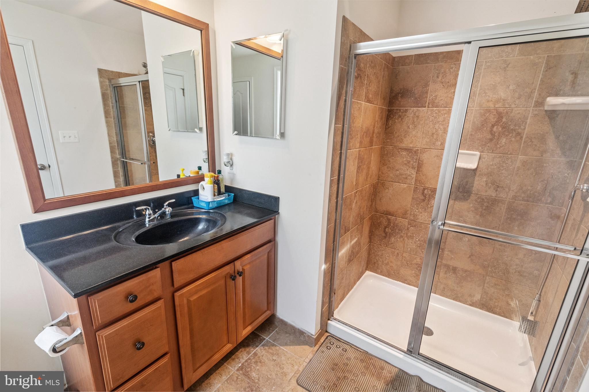 22551 Cambridgeport Square Ashburn, VA 20148 - Photo 23 of 49 a bathroom with a sink a mirror and a shower