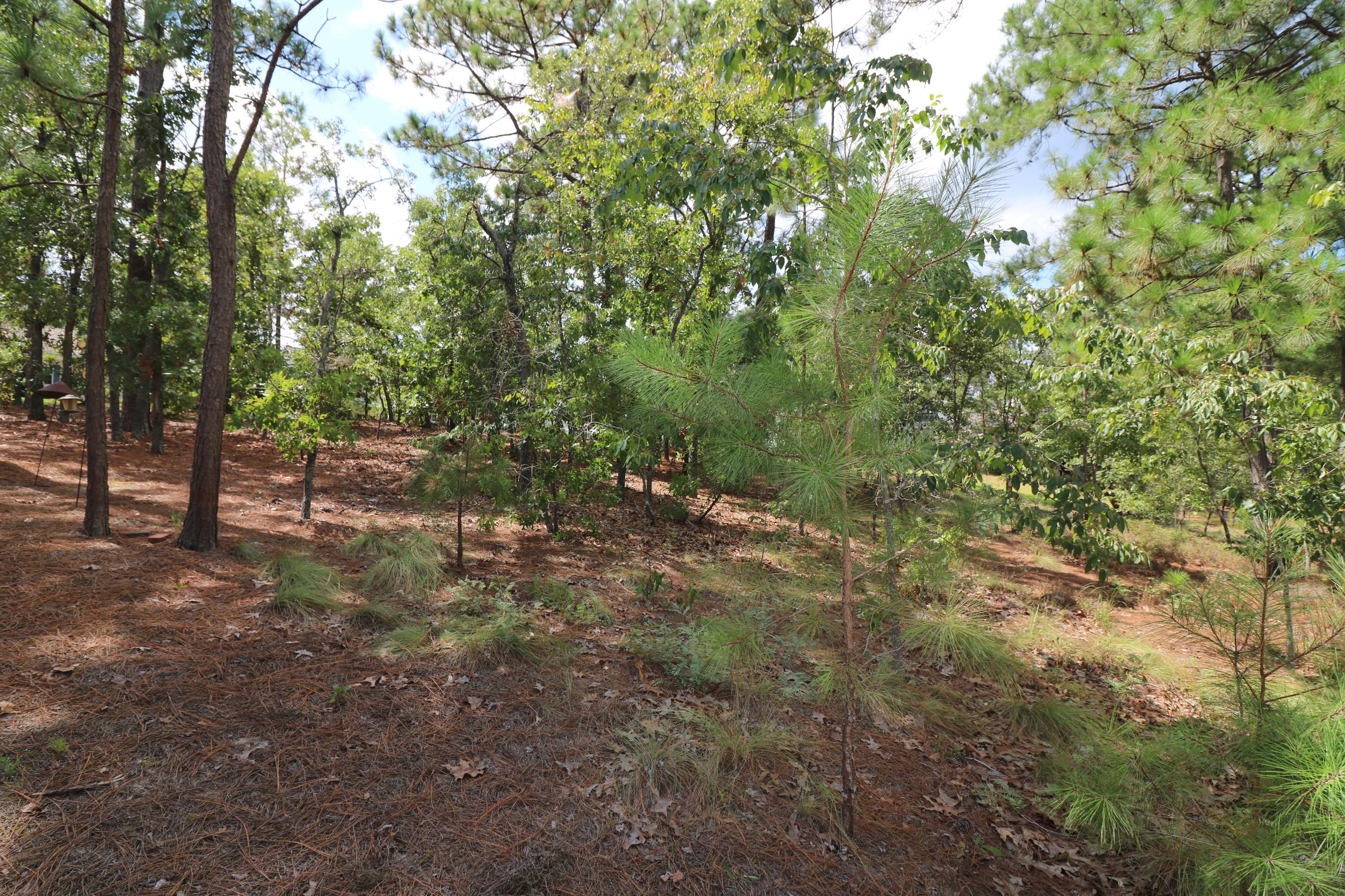 1250 Burning Tree Road Pinehurst, NC 28374 - Photo 32 of 32 IMG_5617