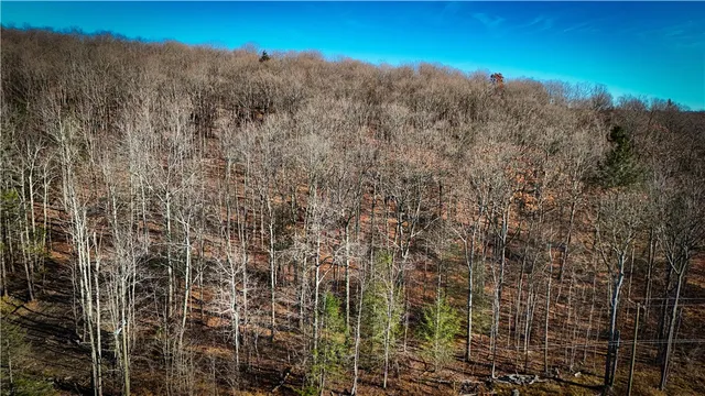 $79,900 | Lot-01 Langford Creek Road, Van Etten, NY 14889