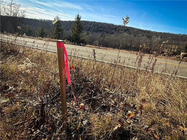 $79,900 | Lot-01 Langford Creek Road, Van Etten, NY 14889
