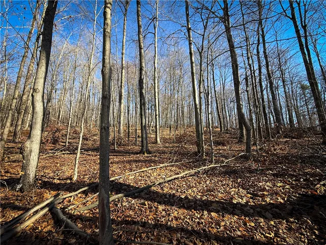 $79,900 | Lot-01 Langford Creek Road, Van Etten, NY 14889