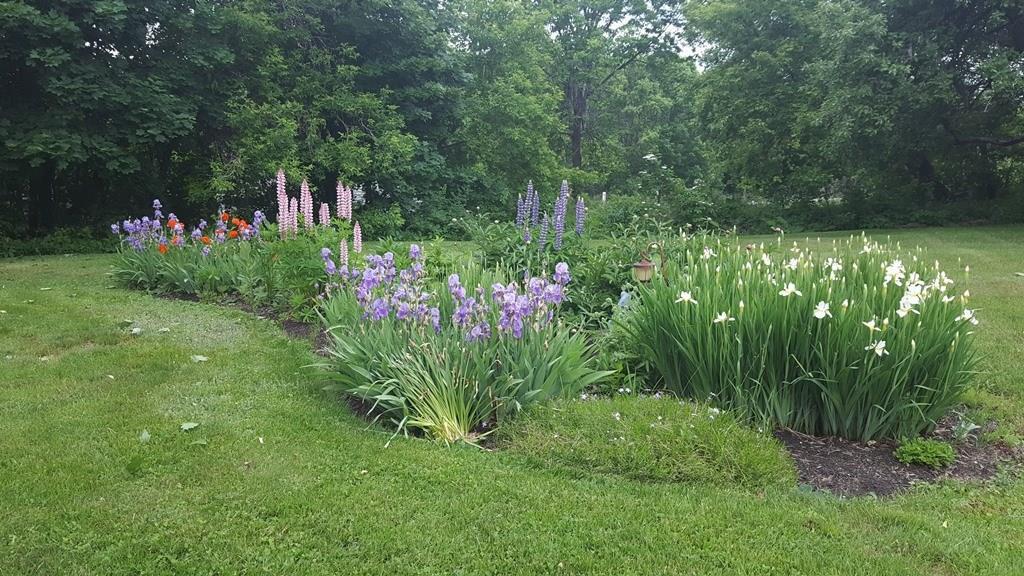 88 Old Waterville Road Oakland, ME 04963 - Photo 8 of 35 Photo