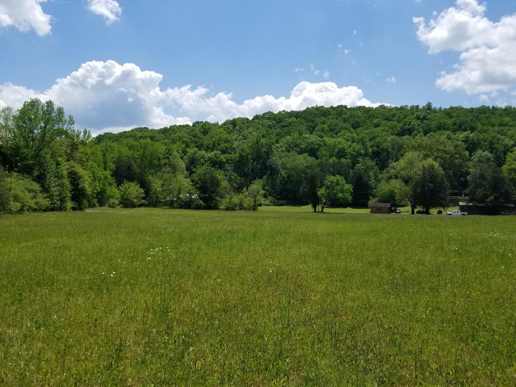 47 Francis Spring Road Whitwell, TN 37397 - Photo 8 of 8 Gallery Image 8