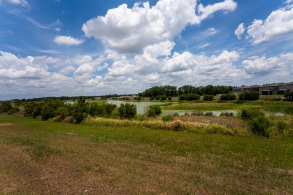 1782 Lanier Road Zephyrhills, FL 33541 - Photo 28 of 31