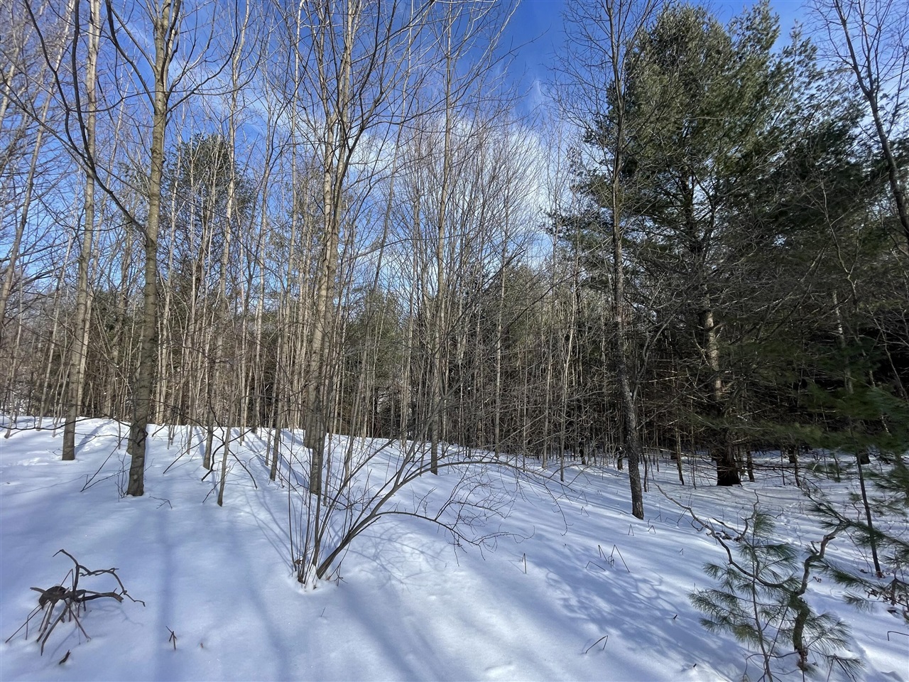 10 A North Henschell Road South Boardman, MI 49680 - Photo 5 of 19