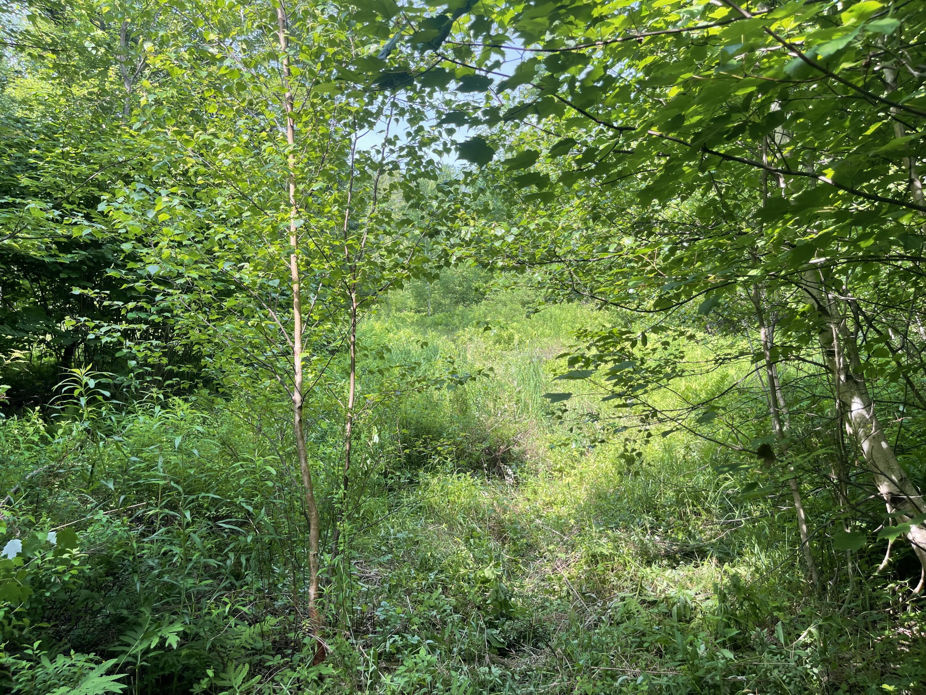165 4 Mile Square Road Anson, ME 04911 - Photo 11 of 17 IMG_4935