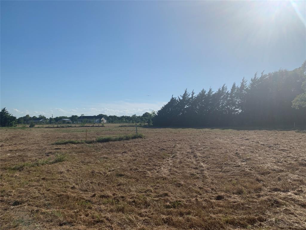 10843 East Line Road Trenton, TX 75490 - Photo 11 of 19