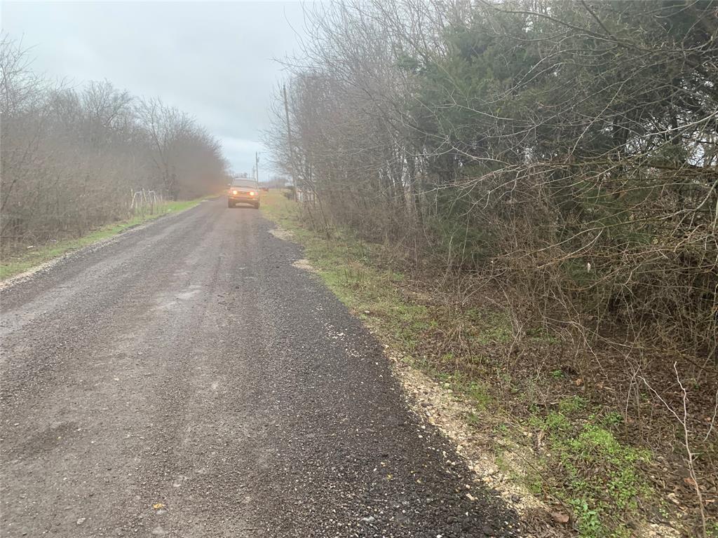 10843 East Line Road Trenton, TX 75490 - Photo 17 of 19 a view of a yard with an empty space and trees
