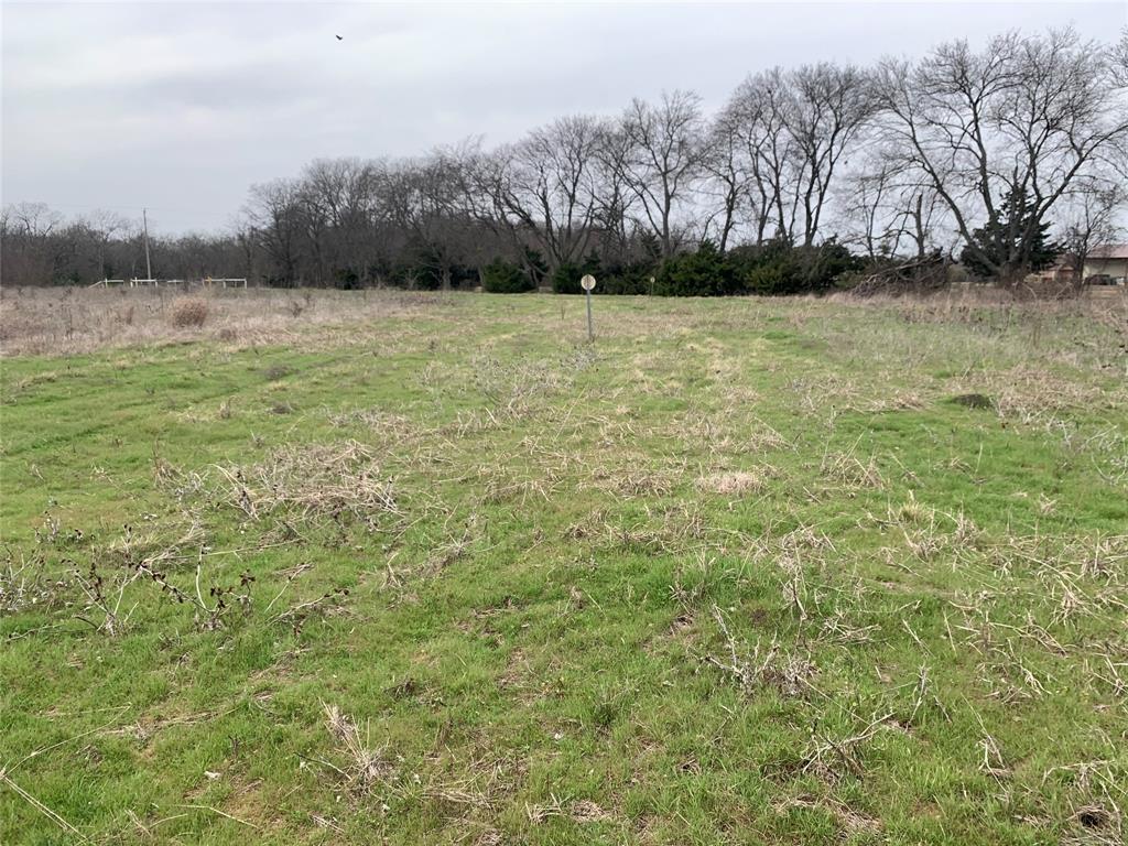 10843 East Line Road Trenton, TX 75490 - Photo 2 of 19 a view of outdoor space with trees