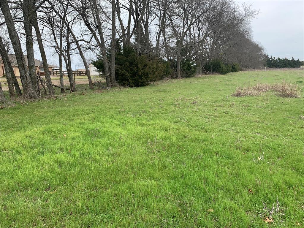 10843 East Line Road Trenton, TX 75490 - Photo 5 of 19 a backyard of a house with lots of green space