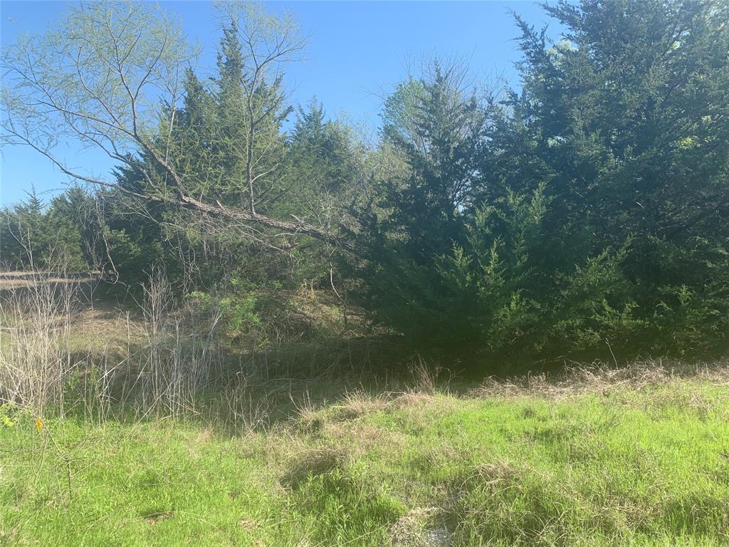 10843 East Line Road Trenton, TX 75490 - Photo 7 of 19 a view of a lake view